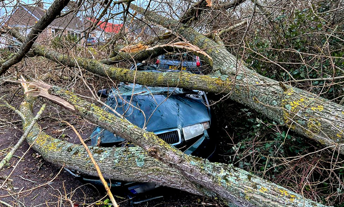 Storms bring down power lines, causing blackouts